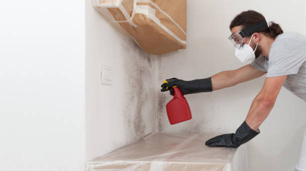 Professional Bathroom Mold Removal technician working in Bellaire, TX