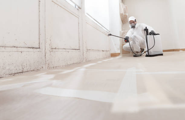 24/7 Emergency Bathroom Mold Removal experts in Bellaire, TX